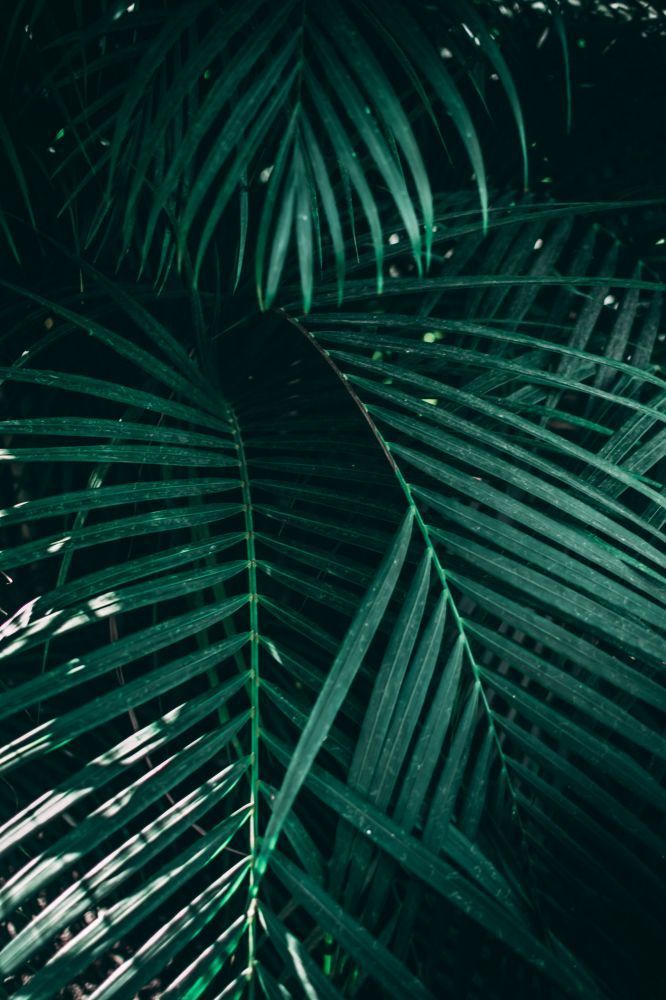 Forstyle Hotels Collection - Details